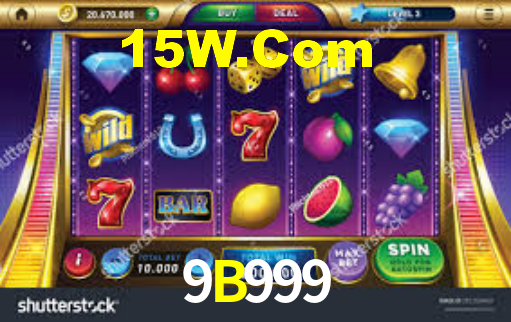 Interface Premium 9B999